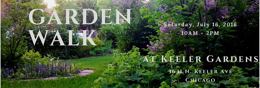Wonderful picture of the front garden in full spring bloom. Lilacs in the foreground with lady's mantle, with Ajuga ground cover under the burning bush on the left display garden, and magic carpet spirea and irises in the far background.