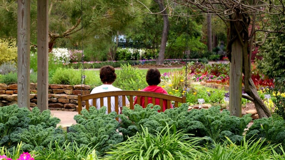 A lush garden in Texas with petunias, daylilies, and kale in the foreground with a pergola framing a mother and teenage son on a bench swing hung from the structure. The path in front of them is walled with mixed annual display beds accenting perennial lavender, catmint, and boxwood, as they wind to the right holding red feather celosia as a feature with a lush grassy lawn opening up to evergreens in a woodland garden in the distance.
